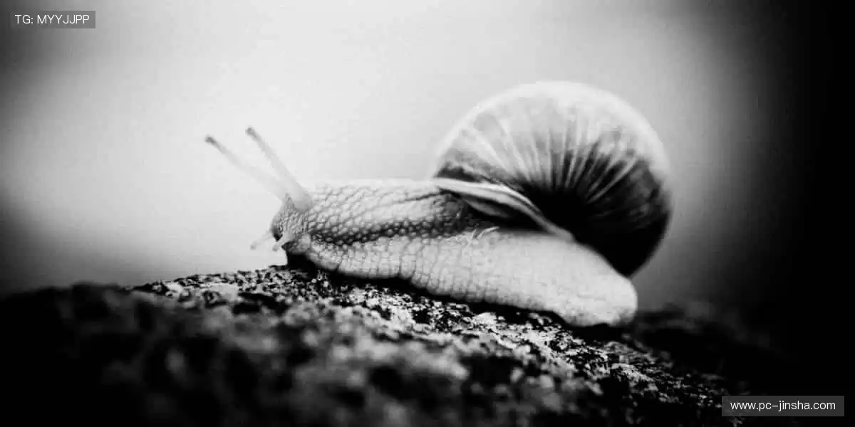 🏆 收藏热爱，把冠军荣耀穿在身上！🎁